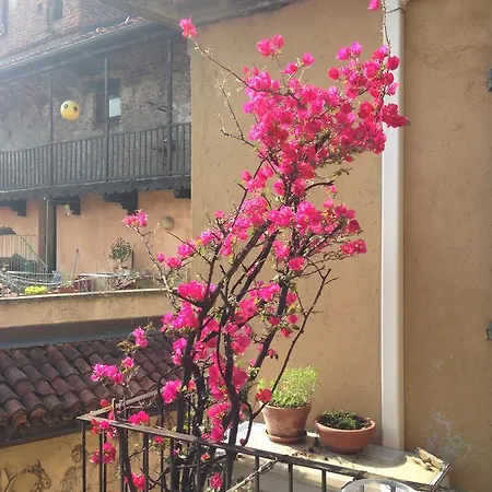 ゲストハウス Centro Bellavista *